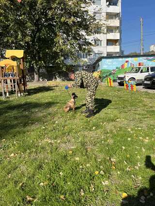 Полицейски кучета и техните водачи гостуваха в шуменската детска градина ”Златна рибка“