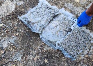 Полицейски служители от РУ-Чирпан иззеха над два килограма марихуана