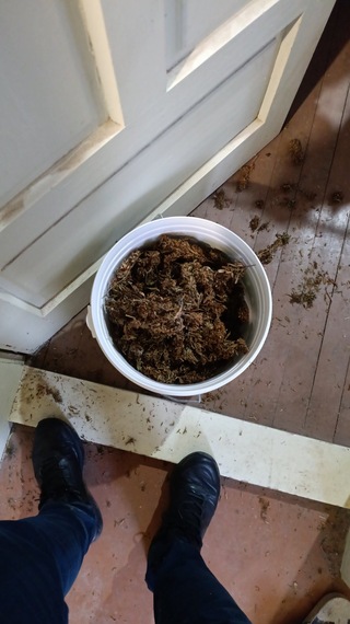 Близо килограм канабис иззеха служители на полицейското управление в Стражица