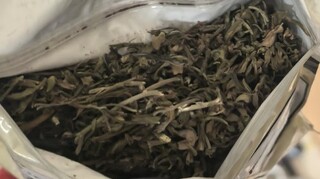 Четирима задържани при спецакция по линия „наркотици“ на територията на ОДМВР – Пловдив