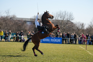 With master riding competitions, the equestrian squadron of the Sofia Metropolitan Police Directorate celebrated Todorovden and its 70th anniversary