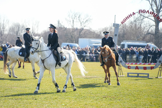 With master riding competitions, the equestrian squadron of the Sofia Metropolitan Police Directorate celebrated Todorovden and its 70th anniversary
