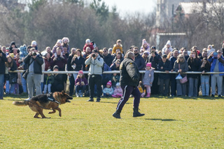 With master riding competitions, the equestrian squadron of the Sofia Metropolitan Police Directorate celebrated Todorovden and its 70th anniversary