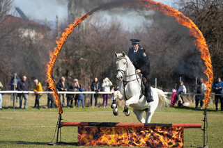 With master riding competitions, the equestrian squadron of the Sofia Metropolitan Police Directorate celebrated Todorovden and its 70th anniversary