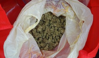 Видинските криминалисти иззеха голямо количество канабис при спецакция срещу наркоразпространението в областния град
