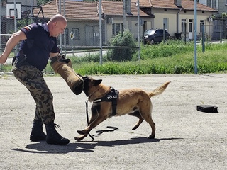 Под надслов „Ваканция, здравей! Да играем безопасно“ в град Смядово се проведе финално състезание на общинско ниво