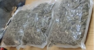 Канабисови насаждения и над 1,5 килограма готова за употреба марихуана са иззети при спецакция на криминалисти от РУ-Карлово