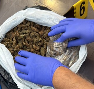 Канабисови насаждения и над 1,5 килограма готова за употреба марихуана са иззети при спецакция на криминалисти от РУ-Карлово