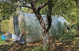 Наркопарник с канабисова реколта е открит при акция на криминалистите в Драгоманско