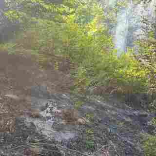 Локализиран е голям пожар в района на Клисурския манастир и село Спанчевци