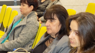 Progress Report on Domestic Violence Project