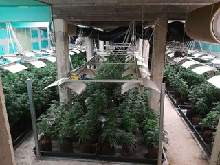 Криминалисти от ГДНП разбиха модерна лаборатория за марихуана