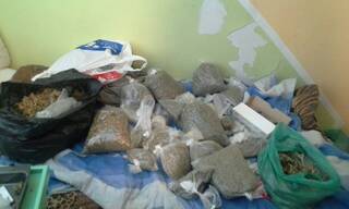 Криминалисти на ГДНП разкриха две оранжерии за отглеждане на марихуана  