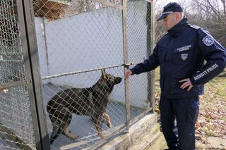20 нови кучета са купени за нуждите на полицията