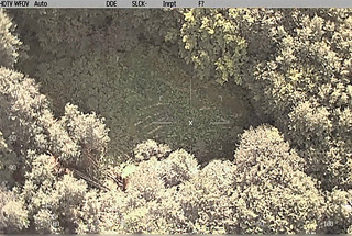 Близо 28 тона канабис са открити и унищожени в района на Благоевградско 