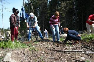  На 17 май, събота, служителите от Генерална дирекция ПБЗН при НСПБЗН – МВР ще се включат в доброволната залесителна кампания в Природен парк “Витоша”, организирана от сдружение Инициативна група “Витоша”