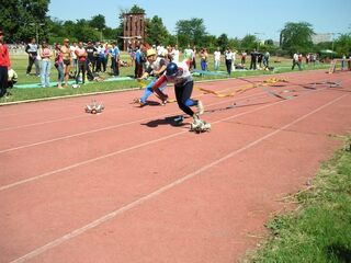 На 19 и 20.06.2008 г. беше проведен ХХХVІI Републикански преглед по пожароприложен спорт “Пловдив - 2008”, организиран от Национална служба “Пожарна безопасност и защита на населението” и Българската федерация за пожароприложен спорт със съ...