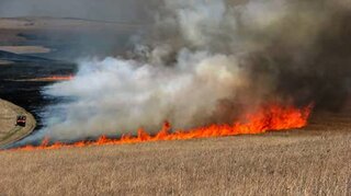 Напомняме за абсолютната законова забрана за изгаряне на растителни отпадъци в земеделските земи!