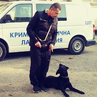 Участниците в национален конкурс за детска рисунка наблюдаваха демонстрации с полицейски кучета и се запознаха с работата на криминалистите от Научно-техническата лаборатория  