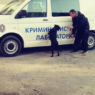 Участниците в национален конкурс за детска рисунка наблюдаваха демонстрации с полицейски кучета и се запознаха с работата на криминалистите от Научно-техническата лаборатория  
