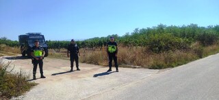 ОДМВР-Пазарджик с мерки за охрана на гроздобера